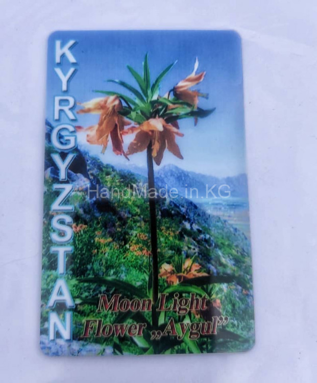 принт-магнитик "Kyrgyzstan"